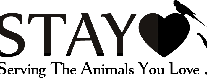 STAY: Serving The Animals You Love