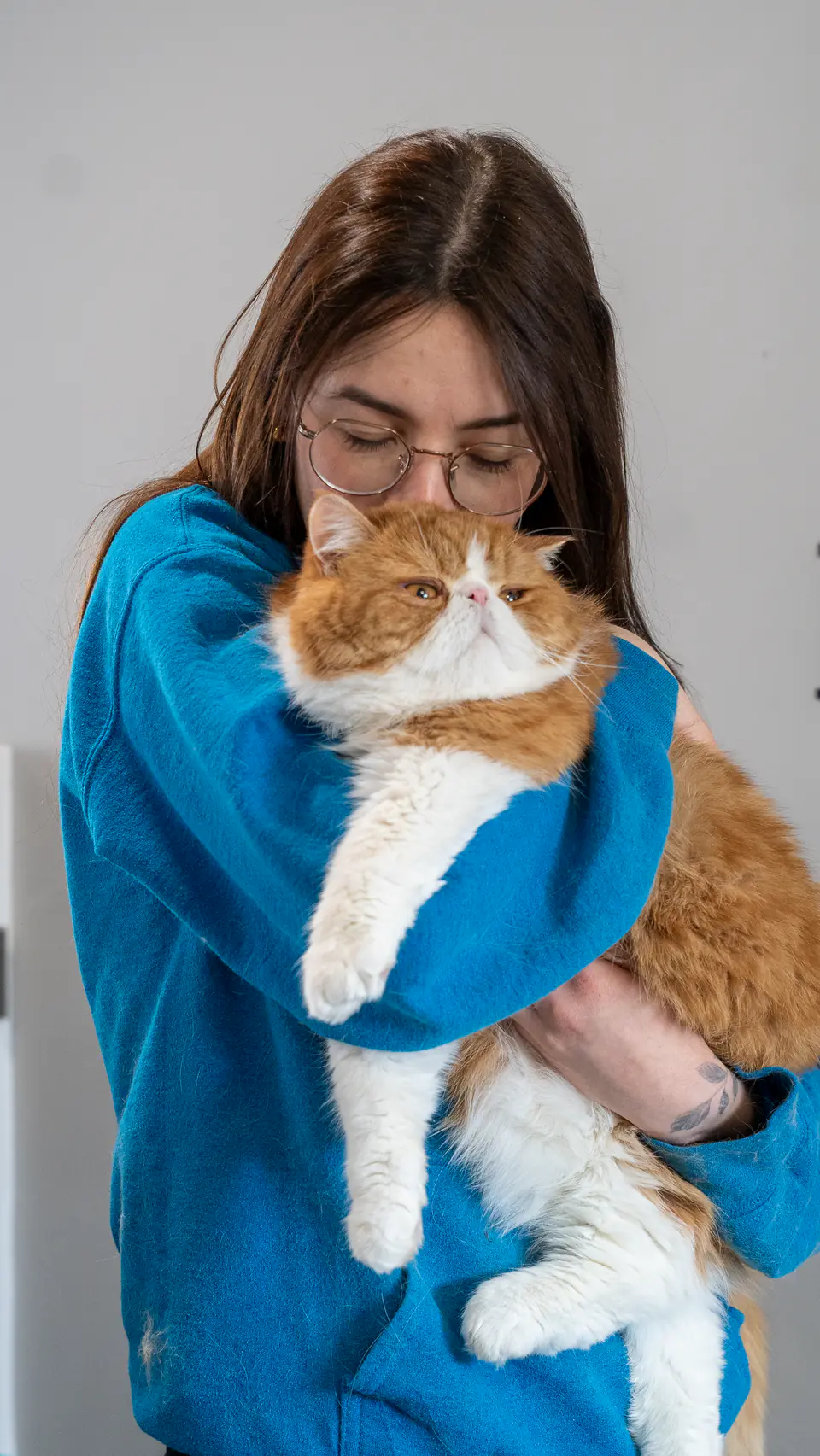 Groomer cuddling a cat after its groom