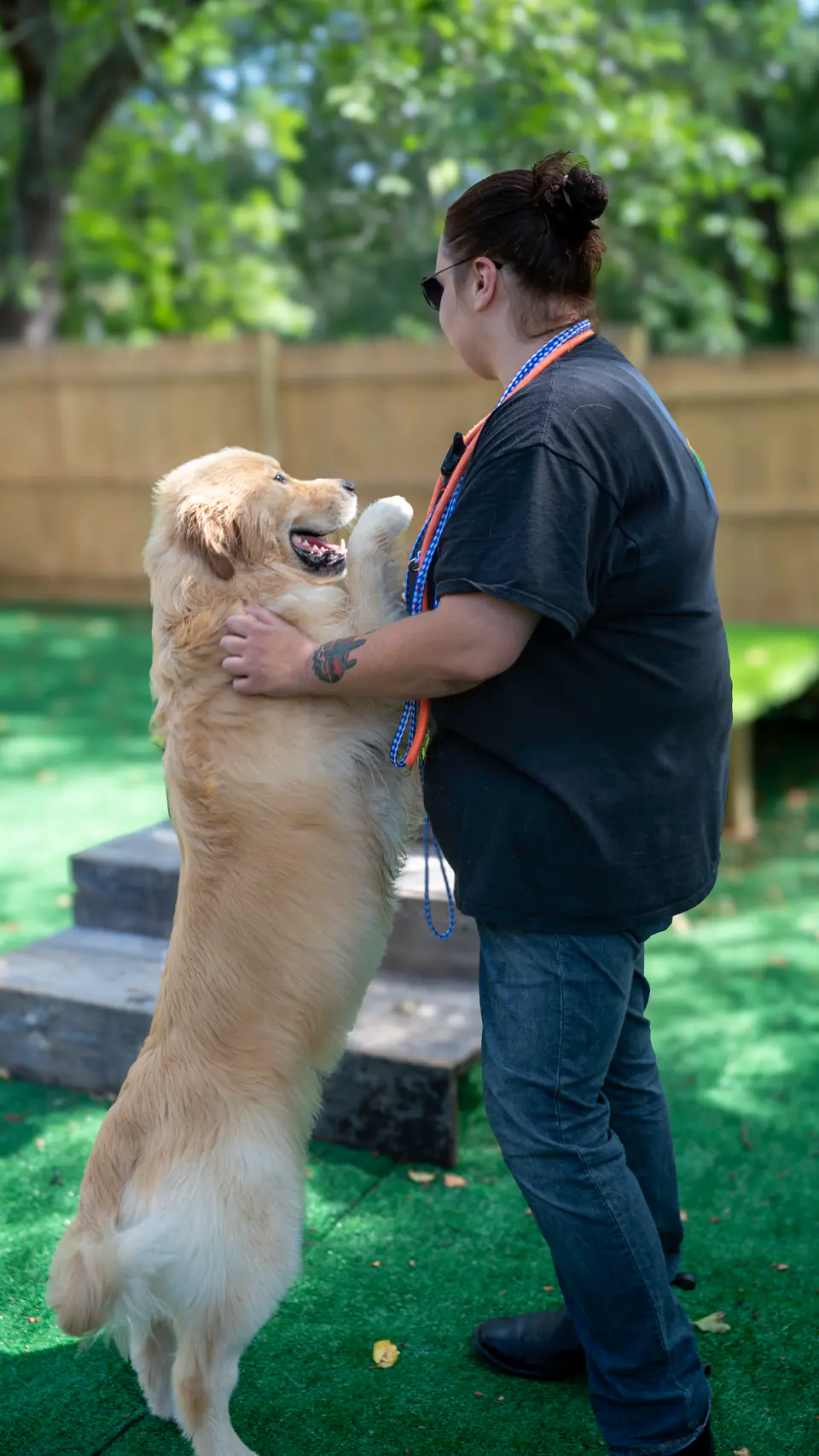 Dogtown staff member greeting a golden retriever in the outdoor yard