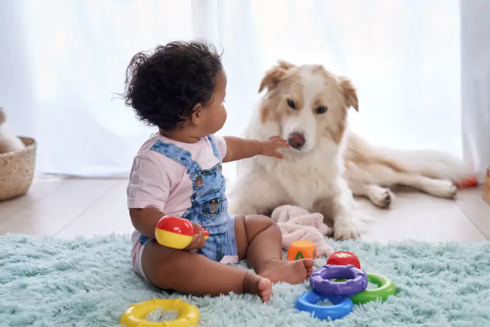 A baby sitting on a living room floor beside the family dog