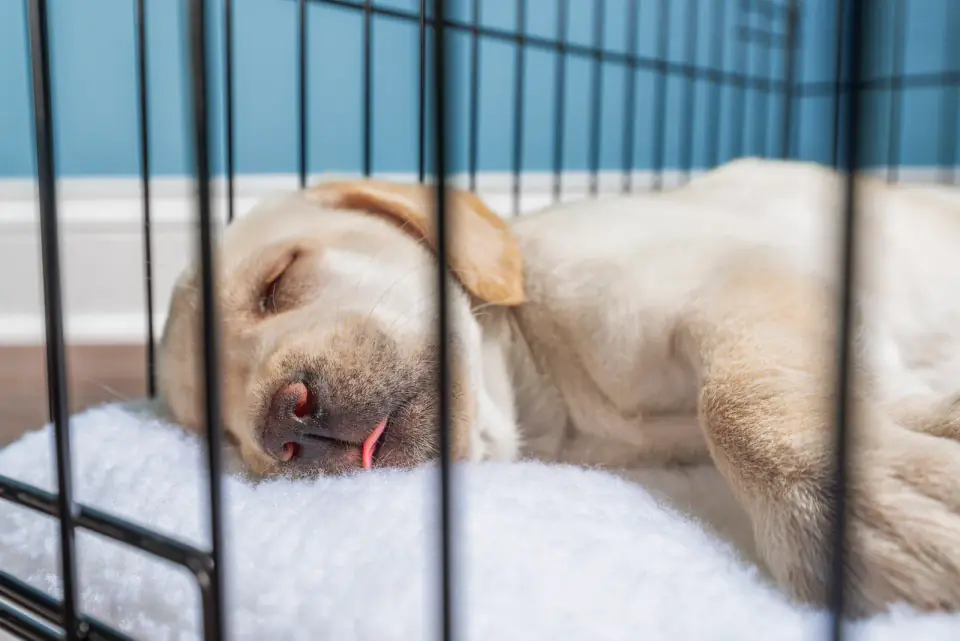 crate-nap