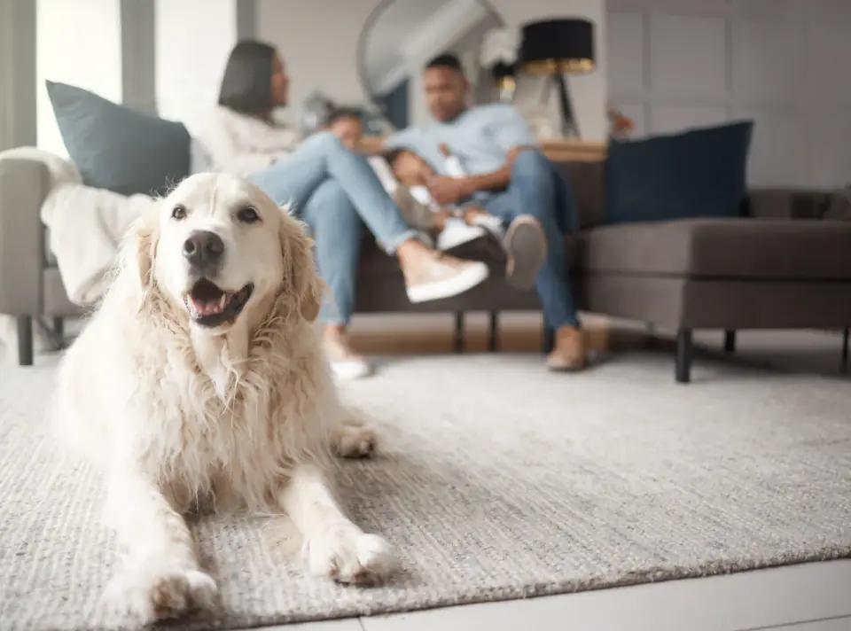 A family of three relaxing on a sofa at home with their dog