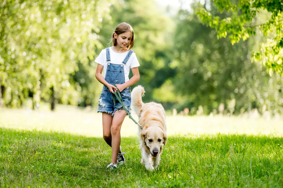Cute little girl with lovely dog