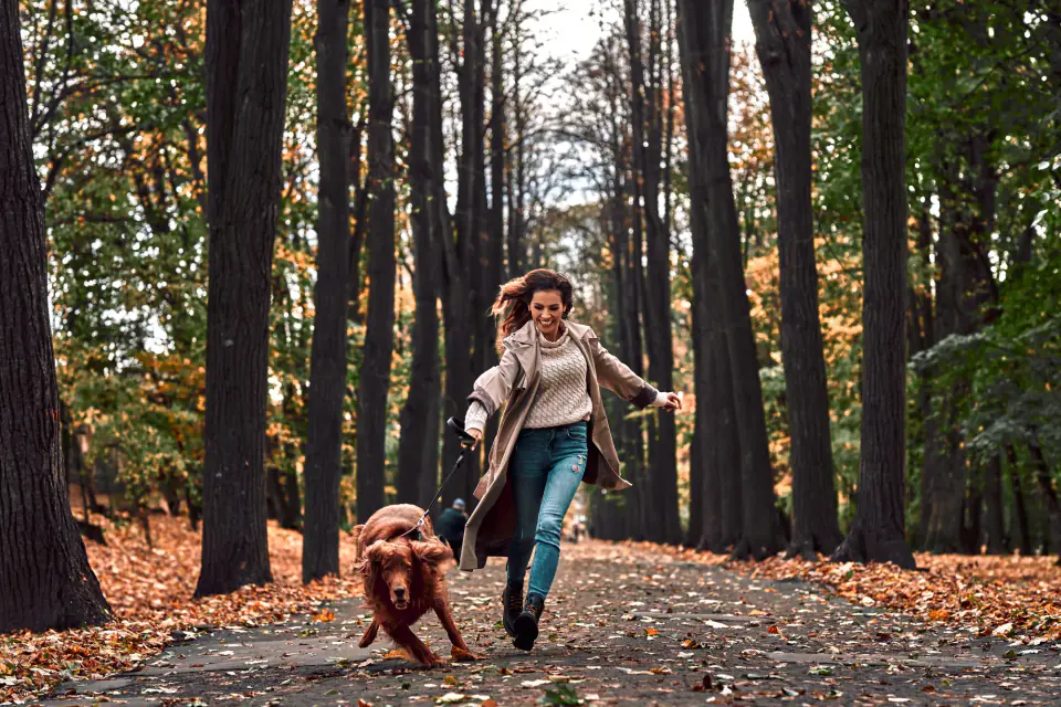 A woman runs down a leaf-covered path through tall trees with a brown dog on a leash.