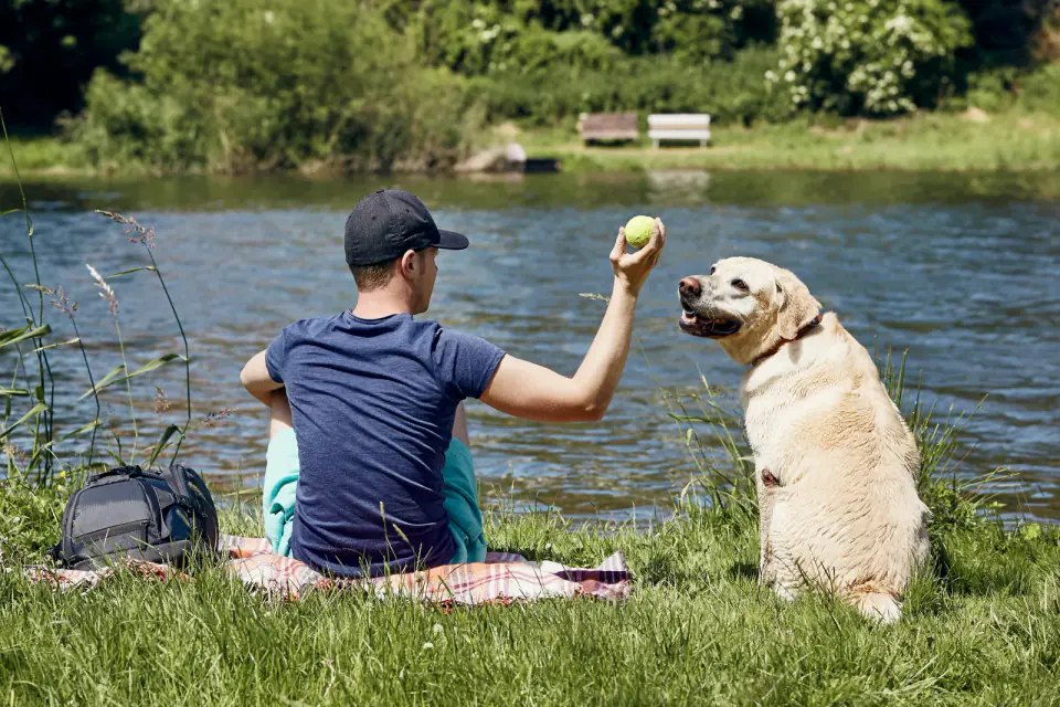 Summertime relaxation with dog