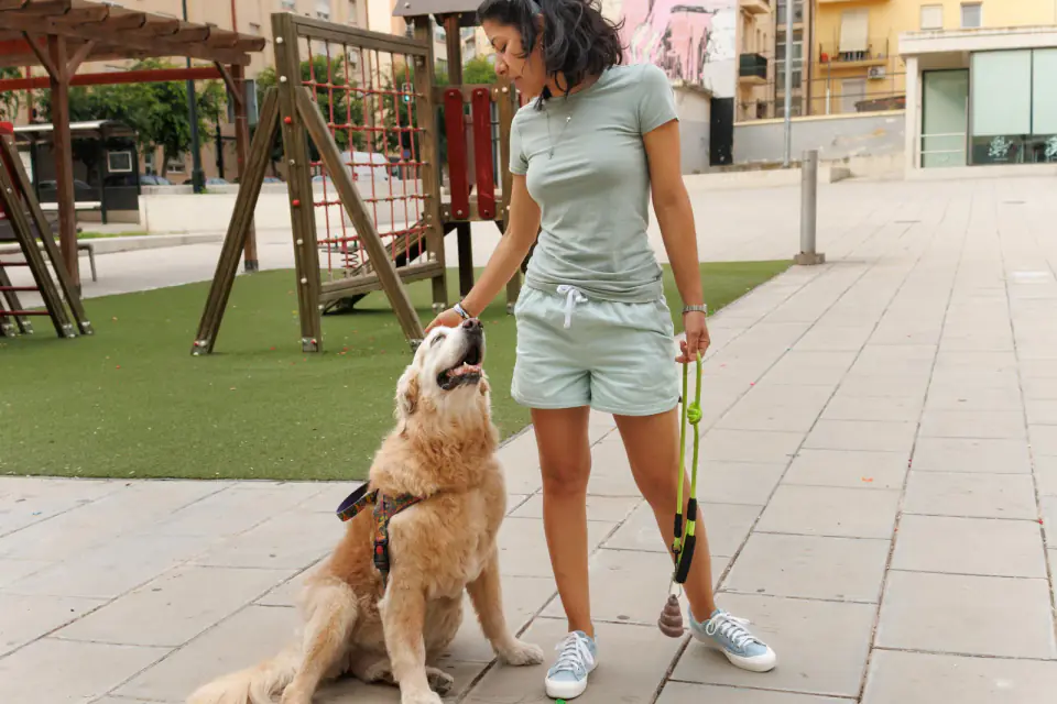 Woman in green petting a golden retriever on a paved path beside a playground