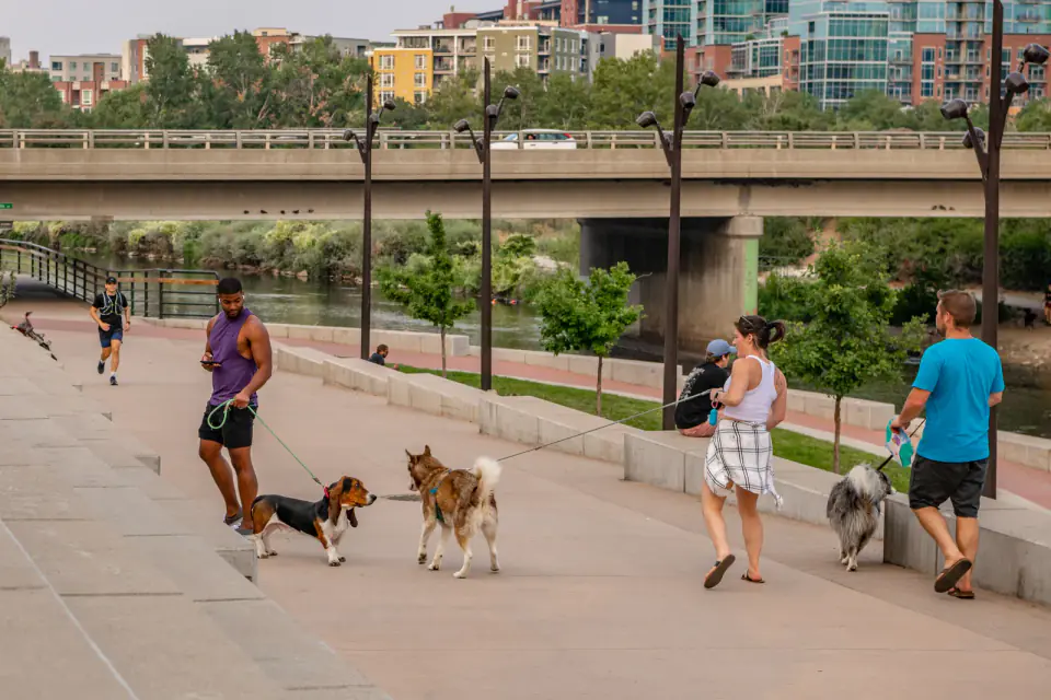 Two owners on a riverside walkway holding loose leashes while a beagle and a husky mix meet side by side.