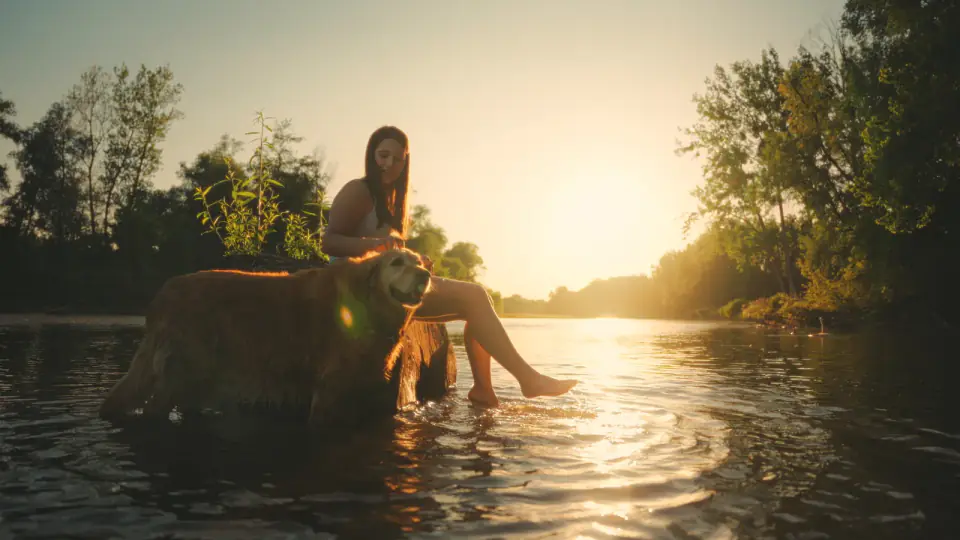 A woman sits on a rock in a shallow river at sunset beside a golden retriever.