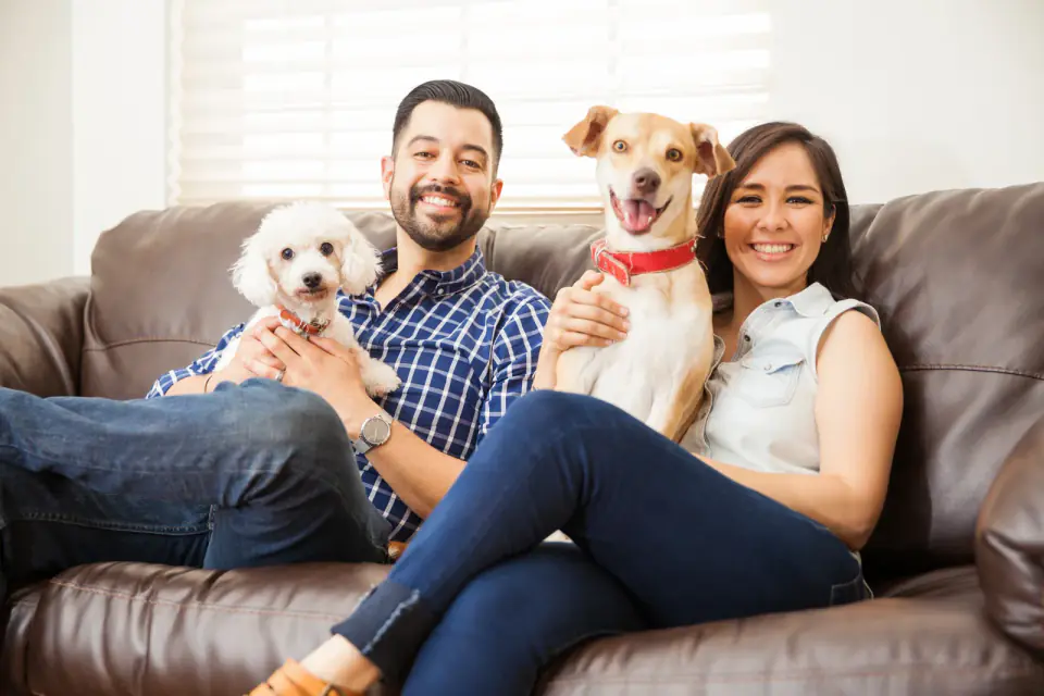 Young couple with two dogs at home