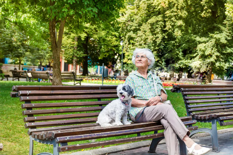 An older woman sits on a park bench beside a small gray and white dog.