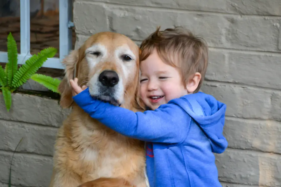 A laughing toddler in a blue hoodie hugging a golden retriever's neck in front of a painted brick wall, the dog's eyes half closed.