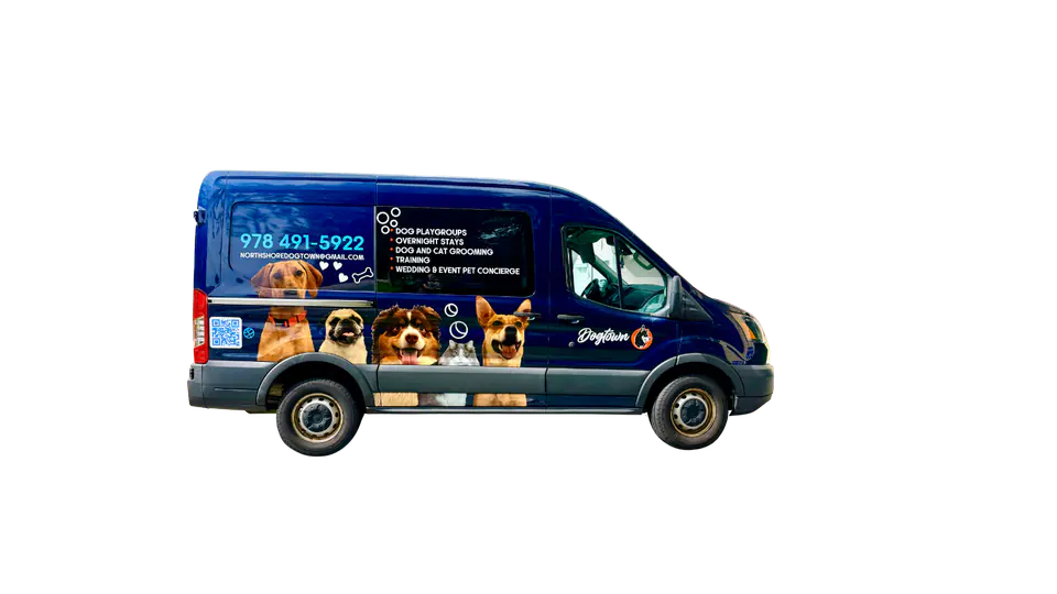 The Dogtown Pup Van: a navy van with dog portraits, the Dogtown logo and the phone number on the side