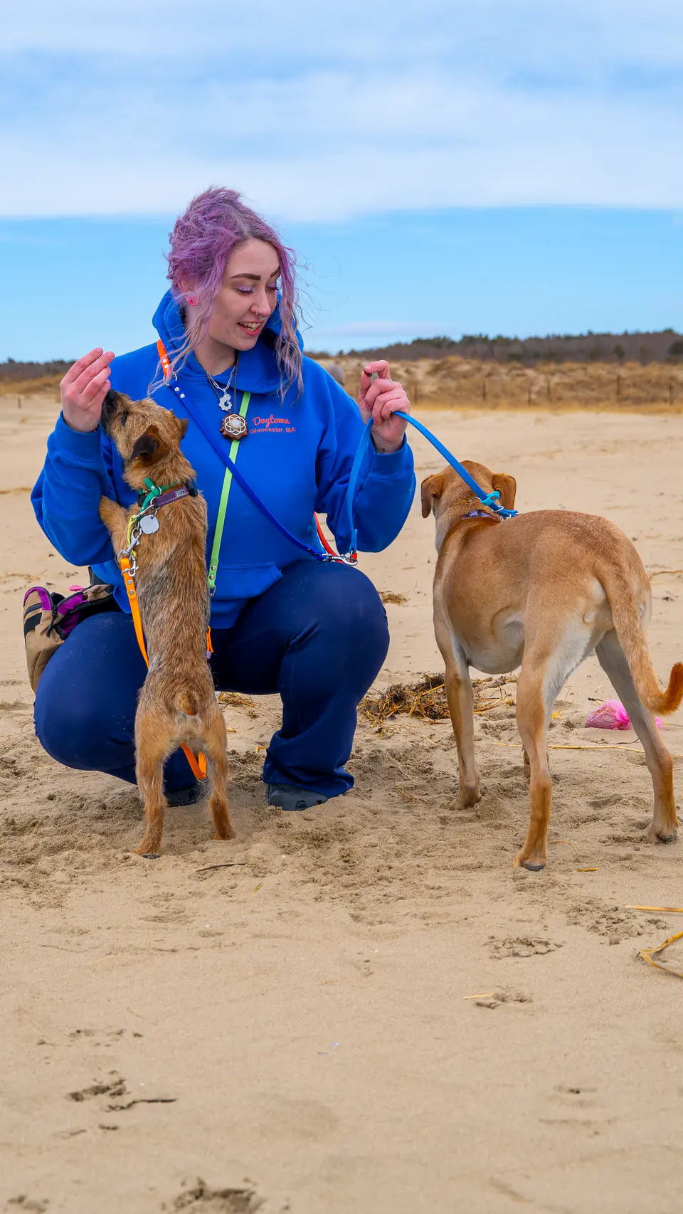 Dogtown trainer working with two dogs on a Gloucester beach