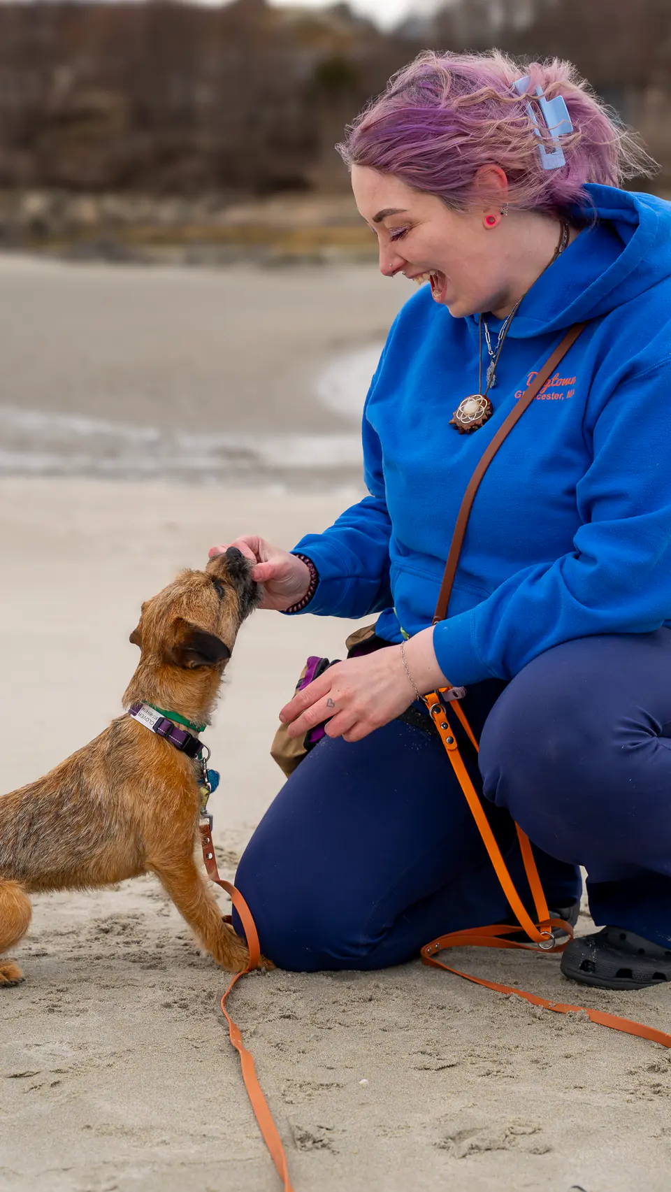 Trainer rewarding a puppy with food during a beach session