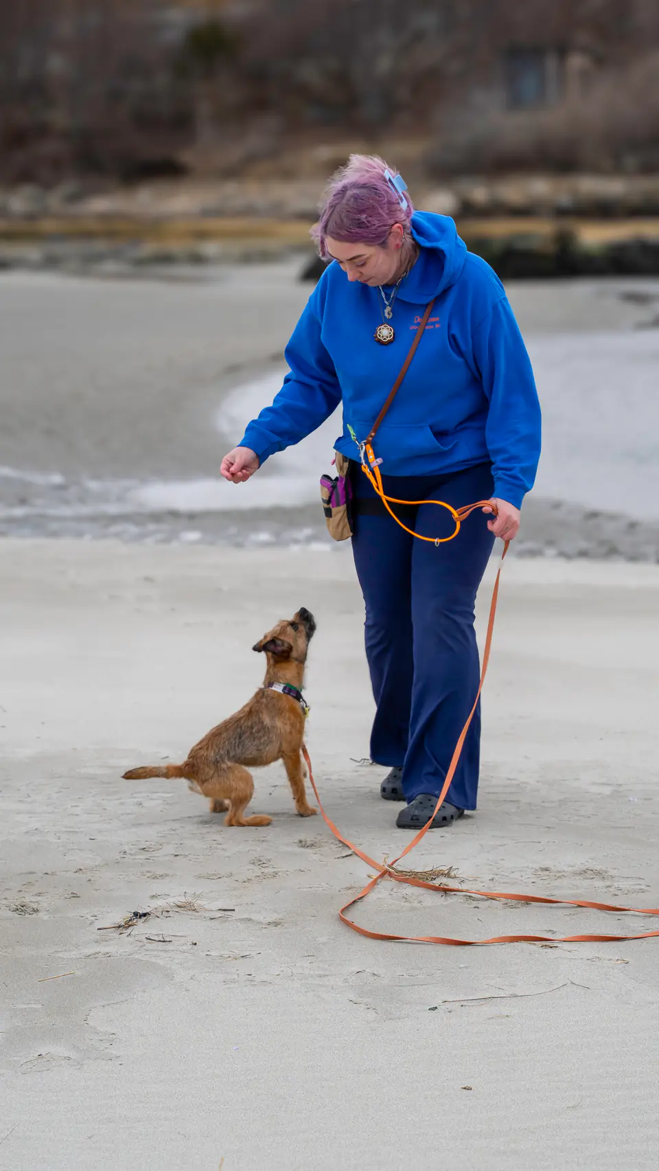 Trainer and dog practising recall on the beach