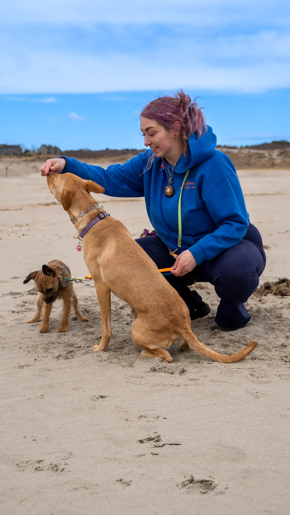 Trainer with a puppy and an adult dog on the beach