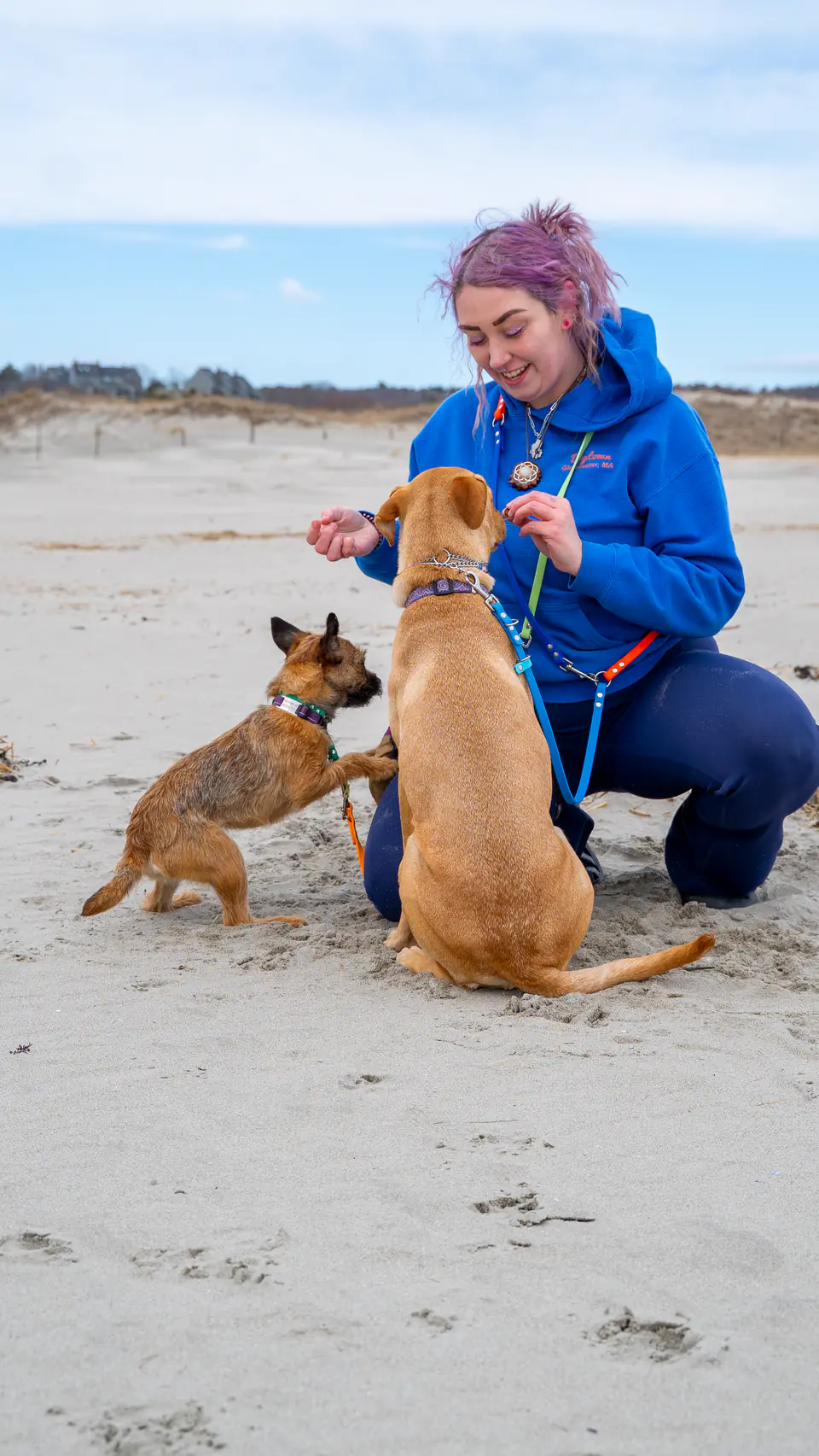 Trainer kneeling with two dogs on the sand