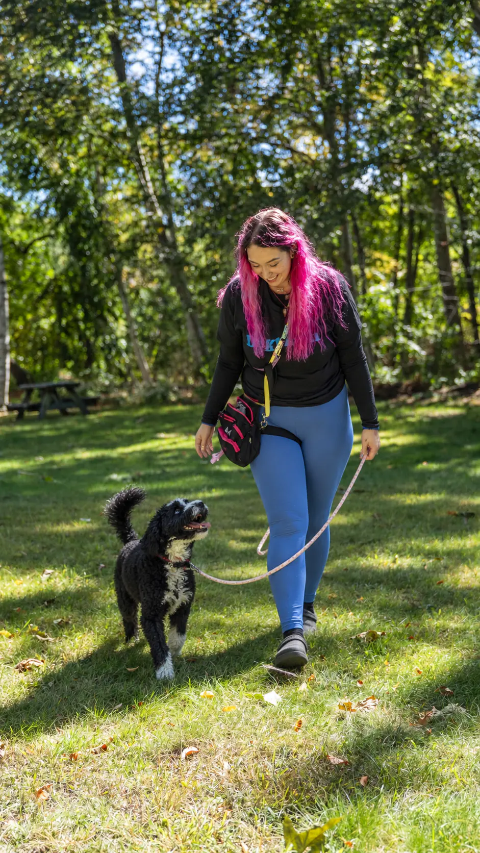 Dogtown walker and a black doodle on a loose-leash walk across the lawn